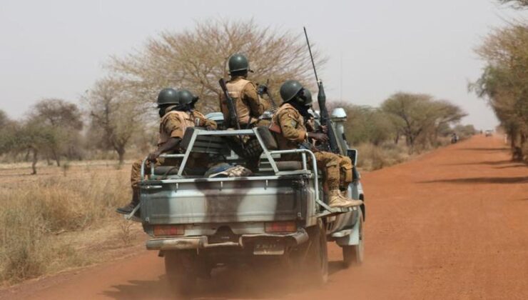 Güney Afrika’da kaçak avcılar, vahşi yırtıcıları zehirleyerek öldürüyor