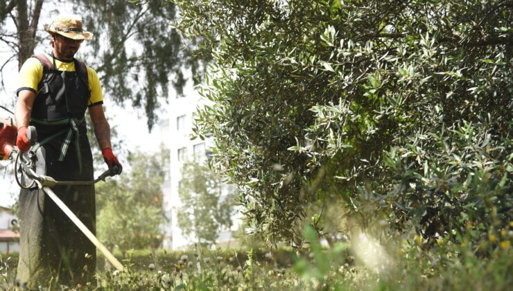 Lefkoşa’da boş arsa ve araziler belediye tarafından temizlenip sahiplerine faturalandırılacak