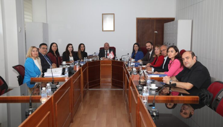 Yükseköğrenim kurumları ve YÖDAK’la ilgili Meclis araştırma komitesi YÖDAK Başkanı Hocanın’ı dinledi