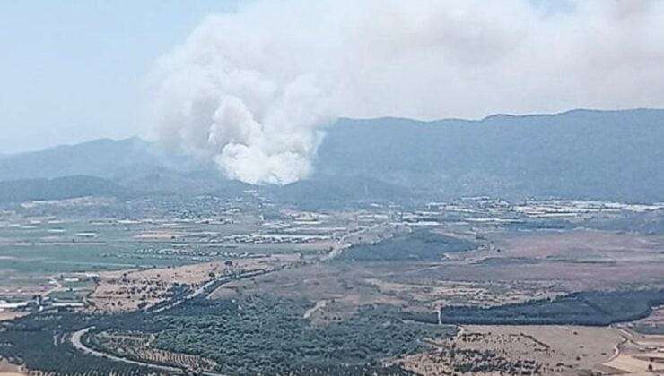 İzmir’de orman yangını