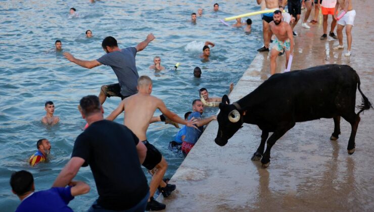 İspanya’da boğaların denize atlatıldığı festival ilk kez sınırlandırıldı