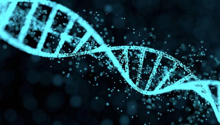 Milyonlarca insanın DNA’sı tehlikede: 23andMe iflasın eşiğinde