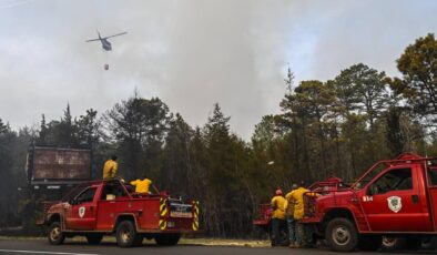 ABD’nin California eyaletinde orman yangını nedeniyle 132 yapı yok oldu