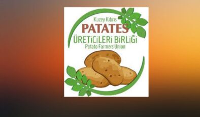 Patates Üreticiler Birliği:Bazı marketlerin fahiş kar oranlarından ötürü fiyatlar 140 TL’ye kadar çıktı