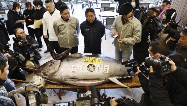 Japonya’da mavi yüzgeçli orkinos 1,3 milyon dolara satıldı