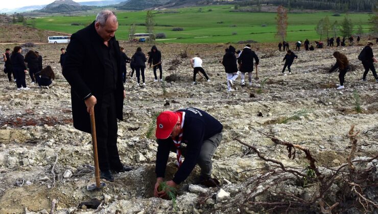 Gençlik Dairesi organizasyonunda 550 fidan ekildi