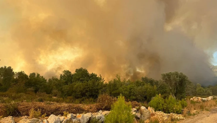 Antalya’da ormanlık alanda çıkan yangına müdahale ediliyor